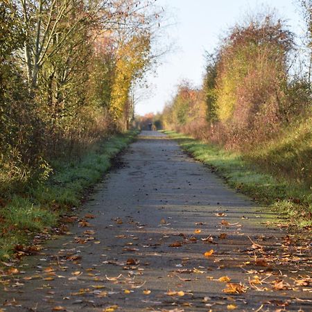 Pour Une Agreable Pause Au Parc ! Alençon Esterno foto