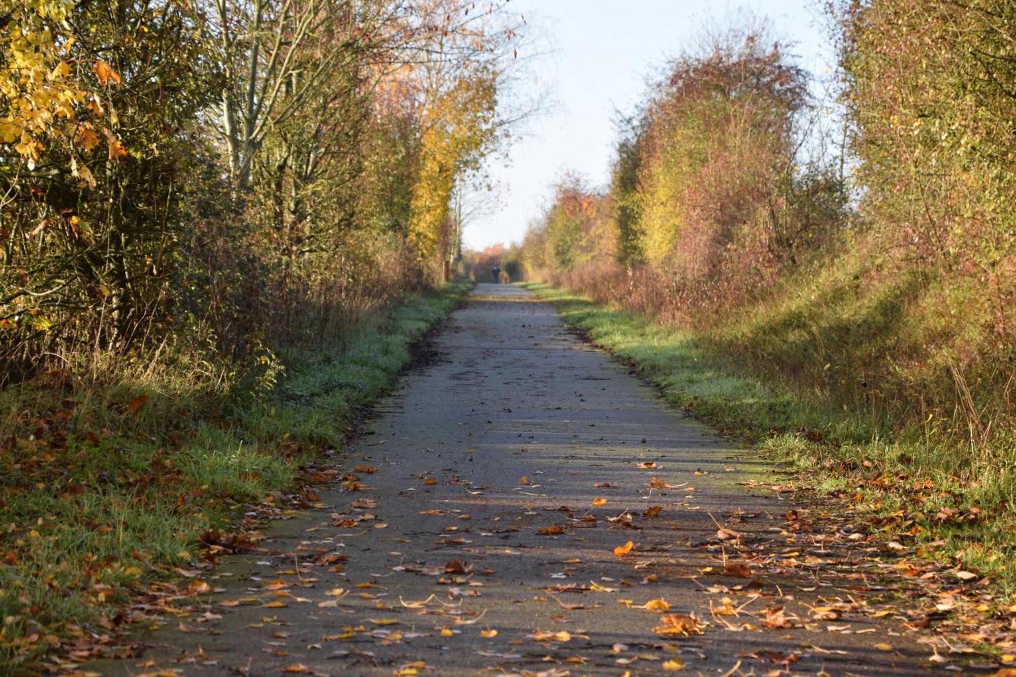 Pour Une Agreable Pause Au Parc ! Alençon Esterno foto